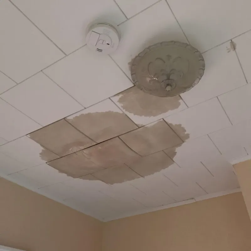 Ceiling Water Damage Repair in Turner County, SD
