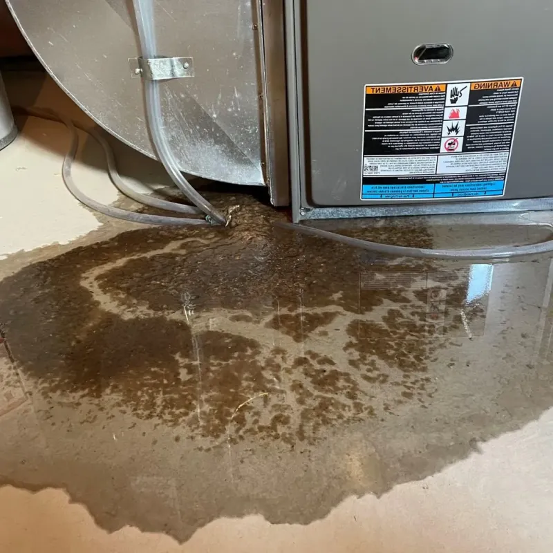 Pipe Burst and Leak Restoration in Turner County, SD
