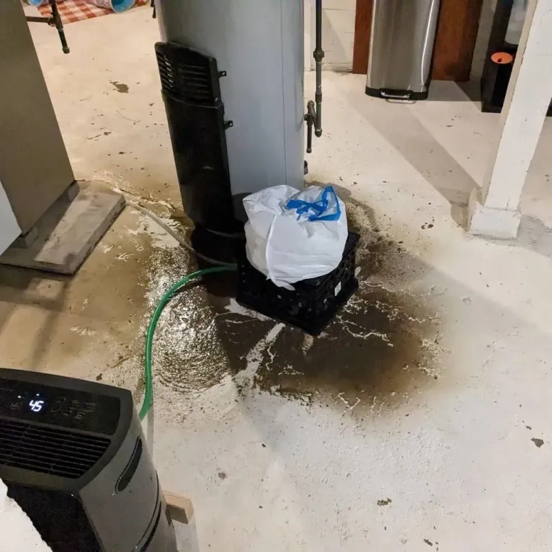 Sewage Backup Cleanup Service in Turner County, SD